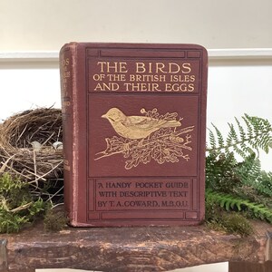 Antique Book ‘The Birds Of The British Isles And Their Eggs’ - Series 1