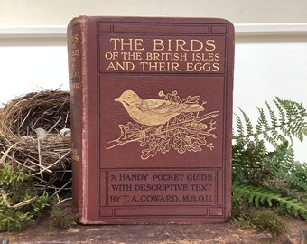 Antique Book ‘The Birds Of The British Isles And Their Eggs’ - Series 1