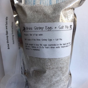 USA Great Salt Lake Premium Brine Shrimp Eggs and Salt Mix, Brine Shrimp Hatch Mix, Baby Brine Shrimp, BBS, Food for Fry & Baby Fish image 1