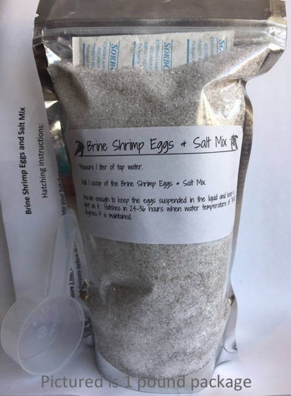 brine shrimp eggs online