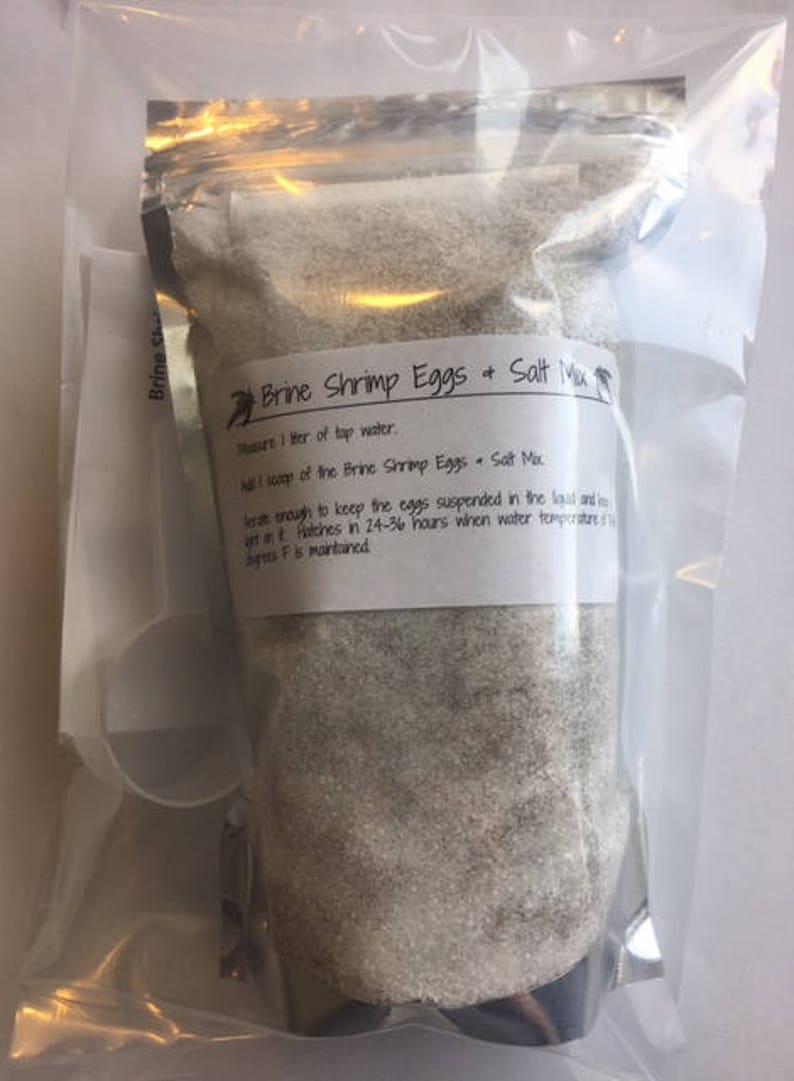 USA Great Salt Lake Premium Brine Shrimp Eggs and Salt Mix, Brine Shrimp Hatch Mix, Baby Brine Shrimp, BBS, Food for Fry & Baby Fish image 3