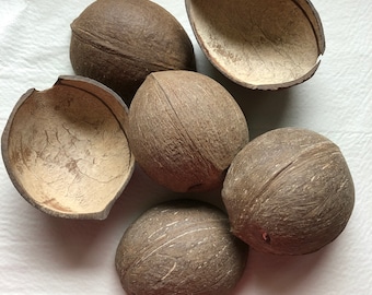 6 Coconut Shell Halves for Crafts, Beach Theme Wedding or Party Decoration, Candle or Soap Holder,  Bird Toy, Aquarium or Reptile Decor