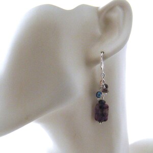 May include: Silver dangle earrings with a purple gemstone and smaller blue and brown beads.