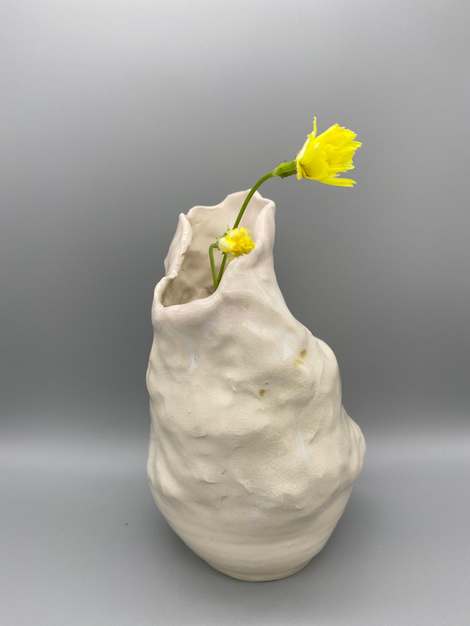 Moderne Skulpturale Vase Abstrakte Kunst Handgemachte | Etsy