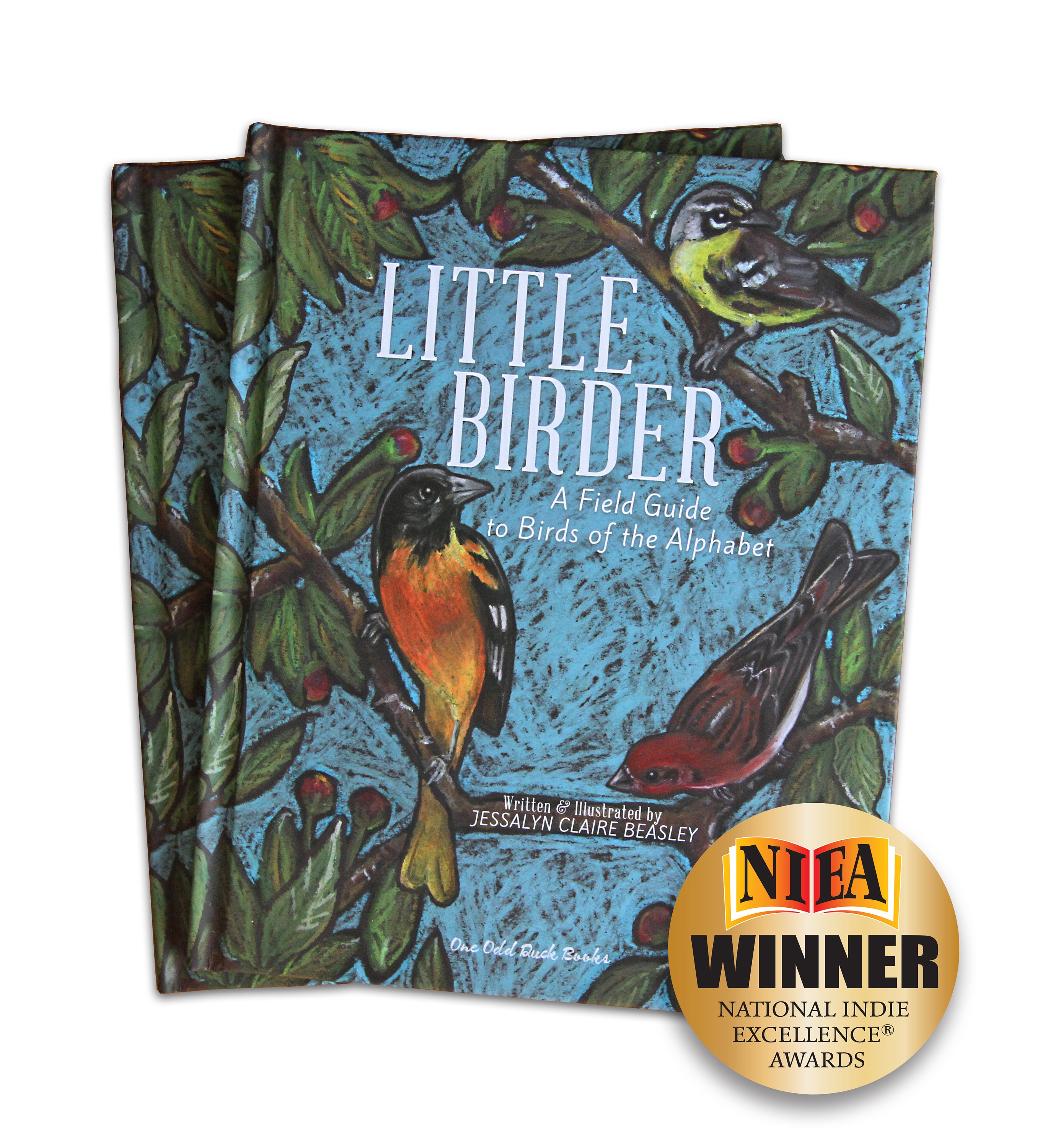 CHILDREN'S BOOK- Little Birder: A Field Guide to Birds of the Alphabet ...
