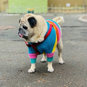 2 Piece Colorful Stripes Cotton Matching Sweaters For Dog and Owner//Crew Neck Chunky Twinning Sweaters//Multicolor Knitted Jumper image 7