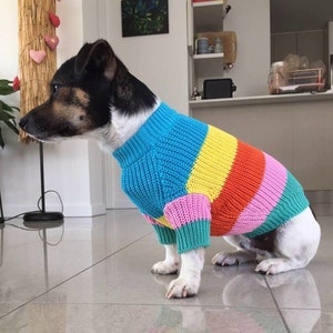 2 Piece Colorful Stripes Cotton Matching Sweaters For Dog and Owner//Crew Neck Chunky Twinning Sweaters//Multicolor Knitted Jumper image 6