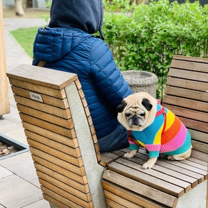 2 Piece Colorful Stripes Cotton Matching Sweaters For Dog and Owner//Crew Neck Chunky Twinning Sweaters//Multicolor Knitted Jumper image 2