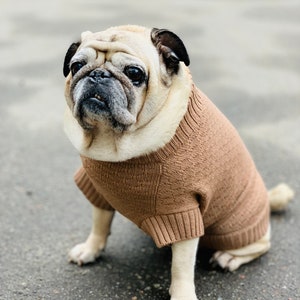Squama Dog&#39;s Sweater// Merino Pet Jumper//Merino Wool Knitted Pet Sweater