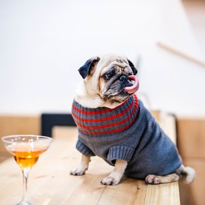 Personalized Stripes Knit Dog Sweater//Crew Neck Dog Pullover//Bicolor Knitted Pet Jumper