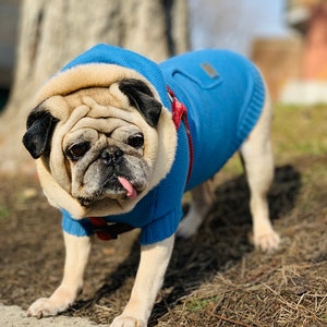 Bright Blue Dog Hoodie Trui met Kangaroo Pocket // Pet Hooded Jumper//Merino Wol Gebreide Pet Hoodies//Dog Back Pocket Hoodie// afbeelding 4