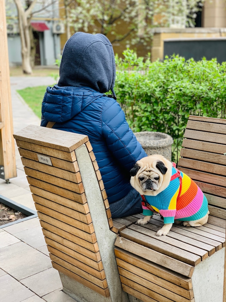 2 Piece Colorful Stripes Cotton Matching Sweaters For Dog and Owner//Crew Neck Chunky Twinning Sweaters//Multicolor Knitted Jumper image 2