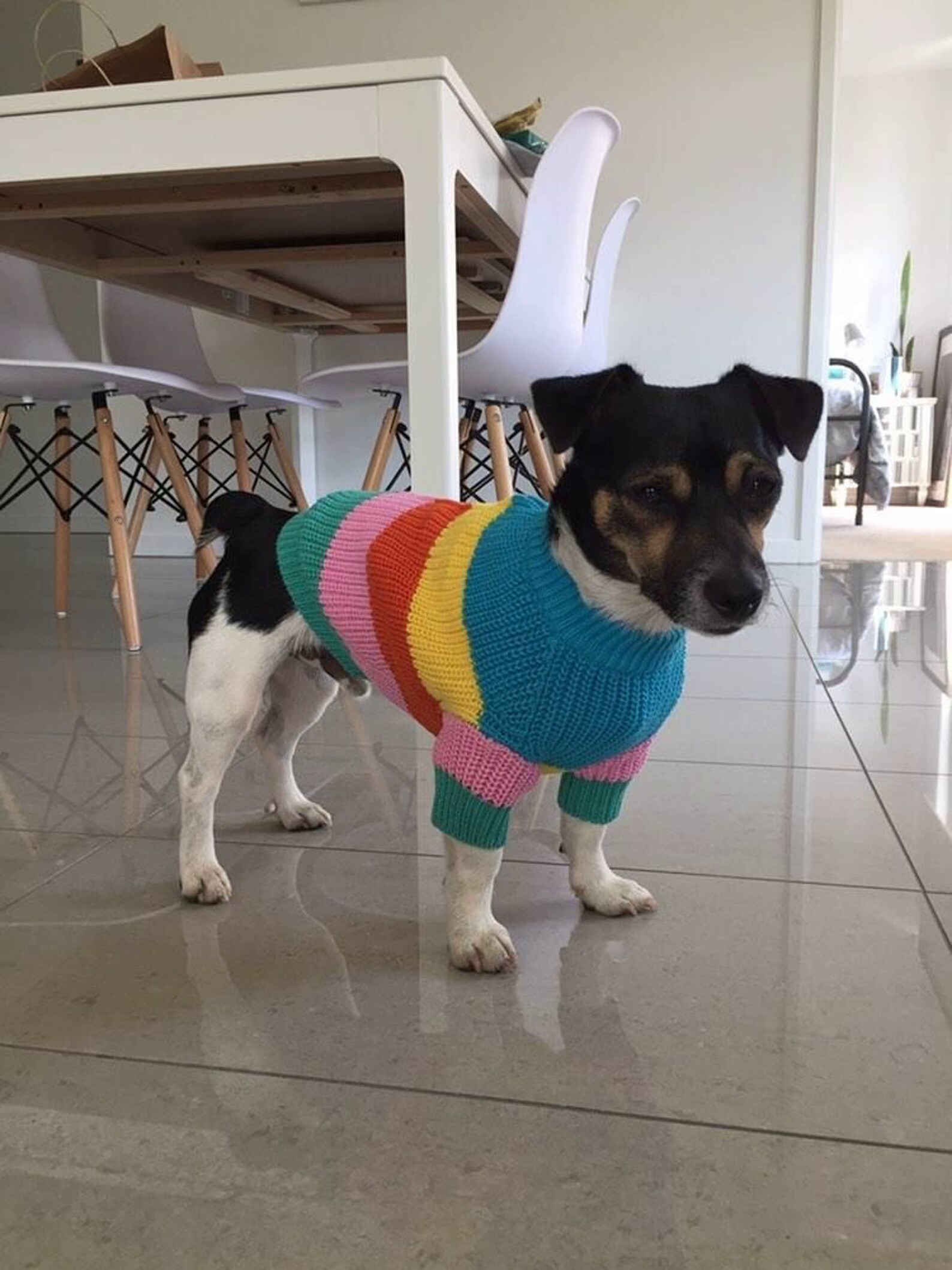 Stripe Knit Shortall With Painting Dog main image 1