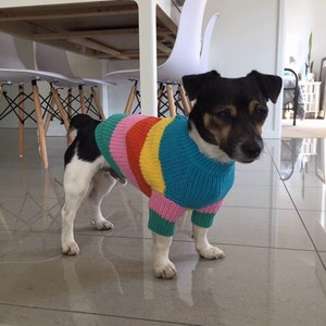 2 Piece Colorful Stripes Cotton Matching Sweaters For Dog and Owner//Crew Neck Chunky Twinning Sweaters//Multicolor Knitted Jumper image 8