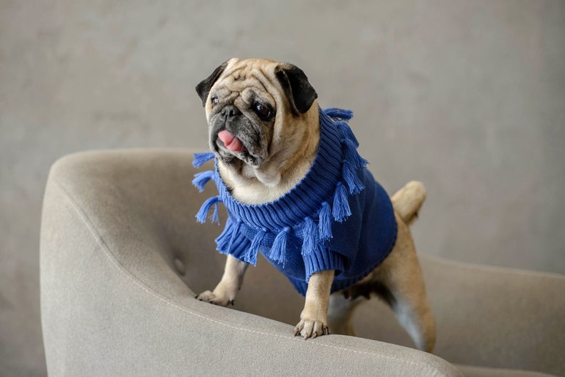 Tasseled Matching Sweaters For Dog and Human image 2