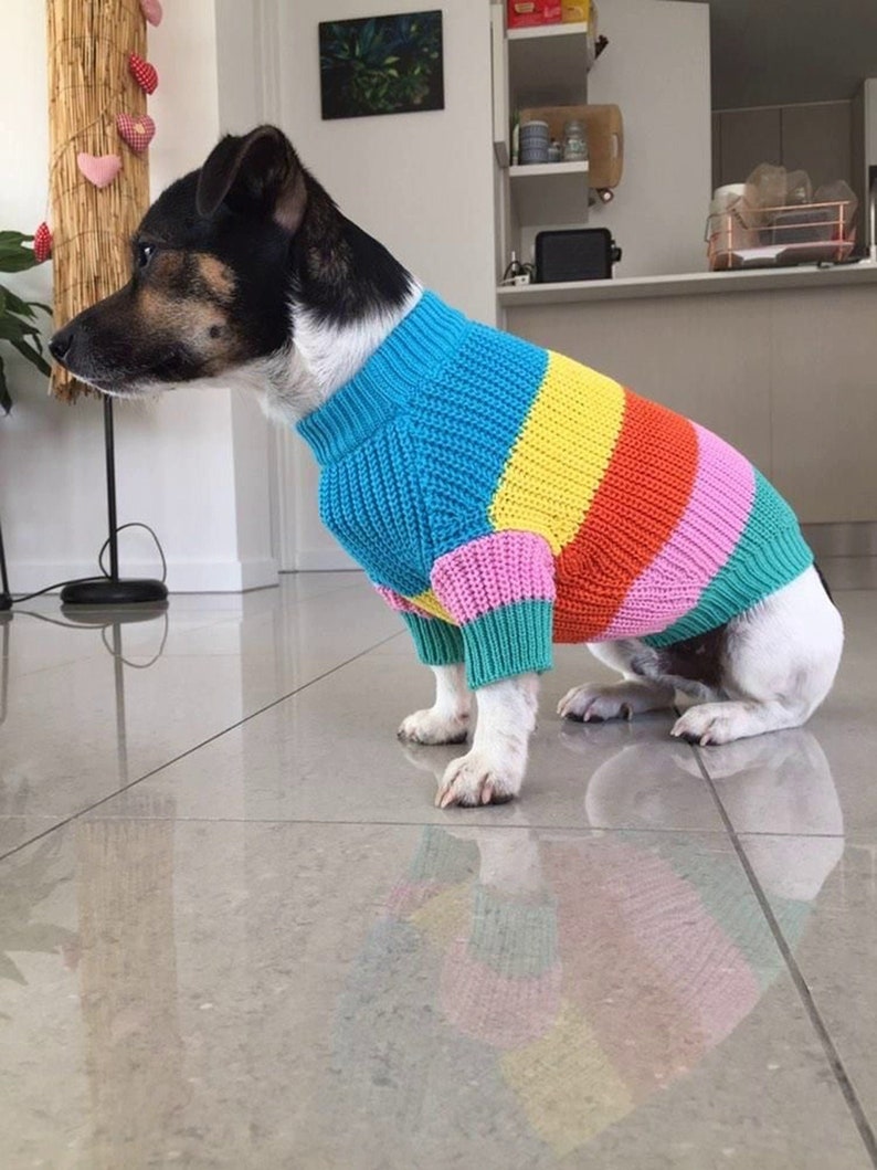 2 Piece Colorful Stripes Cotton Matching Sweaters For Dog and Owner//Crew Neck Chunky Twinning Sweaters//Multicolor Knitted Jumper image 6