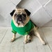 see more listings in the Pet Clothes section