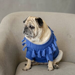 Tasseled Matching Sweaters For Dog and Human image 3