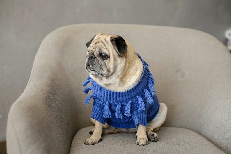 Tasseled Matching Sweaters For Dog and Human image 3