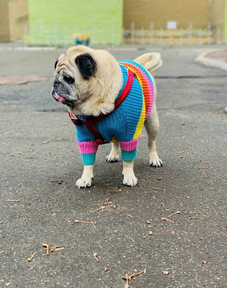 2 Piece Colorful Stripes Cotton Matching Sweaters For Dog and Owner//Crew Neck Chunky Twinning Sweaters//Multicolor Knitted Jumper image 7