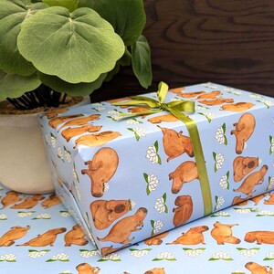 May include: A wrapped gift box featuring a light blue background with a repeating pattern of brown capybaras and white lotus flowers. The box is tied with a green ribbon and bow. A potted plant is in the background.