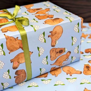 May include: A wrapped gift box featuring light blue wrapping paper with a pattern of brown capybaras and white lotus flowers. A green ribbon is tied around the box.