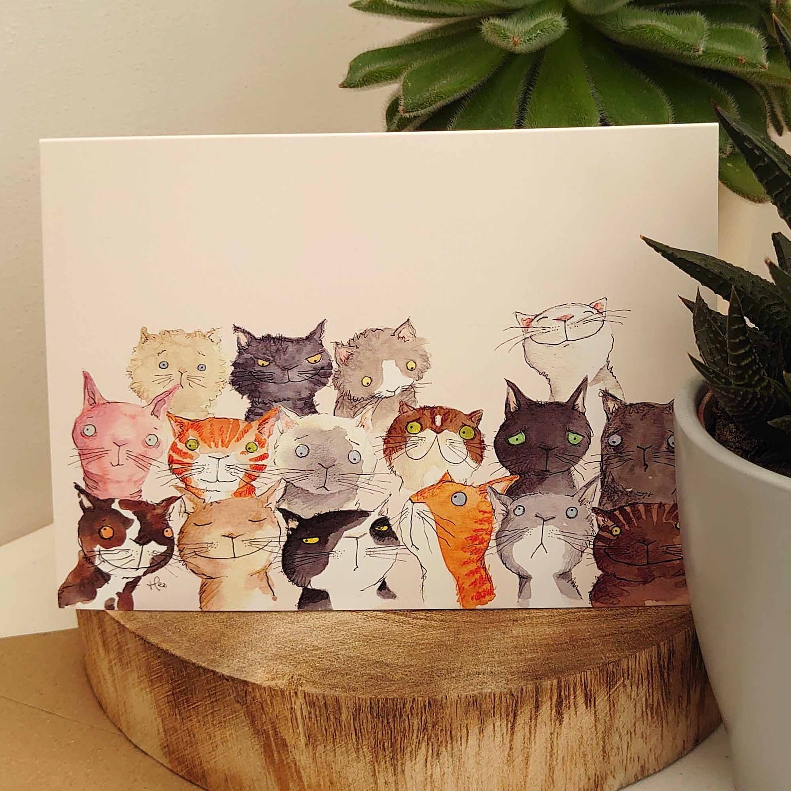 Süße Katze Karte Lustige Katze Geburtstagskarte Crazy Cat | Etsy