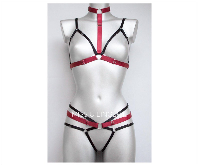 harness-bdsm-chto-eto-russkie-porno-domashnee-lyubitelskoe