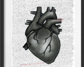 Anatomical Hearts