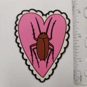 May include: A pink heart-shaped sticker with a white border and a brown cockroach inside. The cockroach has long legs and antennae.
