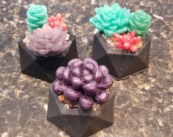 Succulent Soap