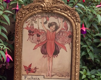 Vintage 1998 Flower Fairy Book Page Print | Cicely Mary Fuchsia Fairy Art
