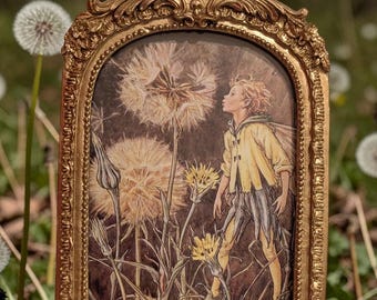 The Jack-go-to-bed-at-noon Flower Fairy Print–  Vintage Cicely Mary Barker Book Page (1998)