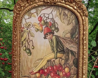 Vintage 1998 Flower Fairy Book Page Print | Cicely Mary Night Shade Berry Fairy Art