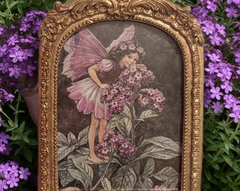 Vintage 1998 Flower Fairy Book Page Print | Cicely Mary Heliotrop Fairy Art