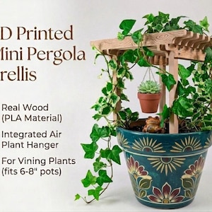 May include: A 3D-printed mini pergola trellis made of real wood, designed for vining plants and 6-8 inch pots. The trellis features an integrated air plant hanger and is surrounded by green ivy. A teal pot with floral designs holds the plants.