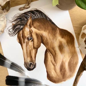 Original Watercolour Horse Painting, Hand Painted Mustang, A3 Original Artwork, Spirit Stallion of the Cimarron