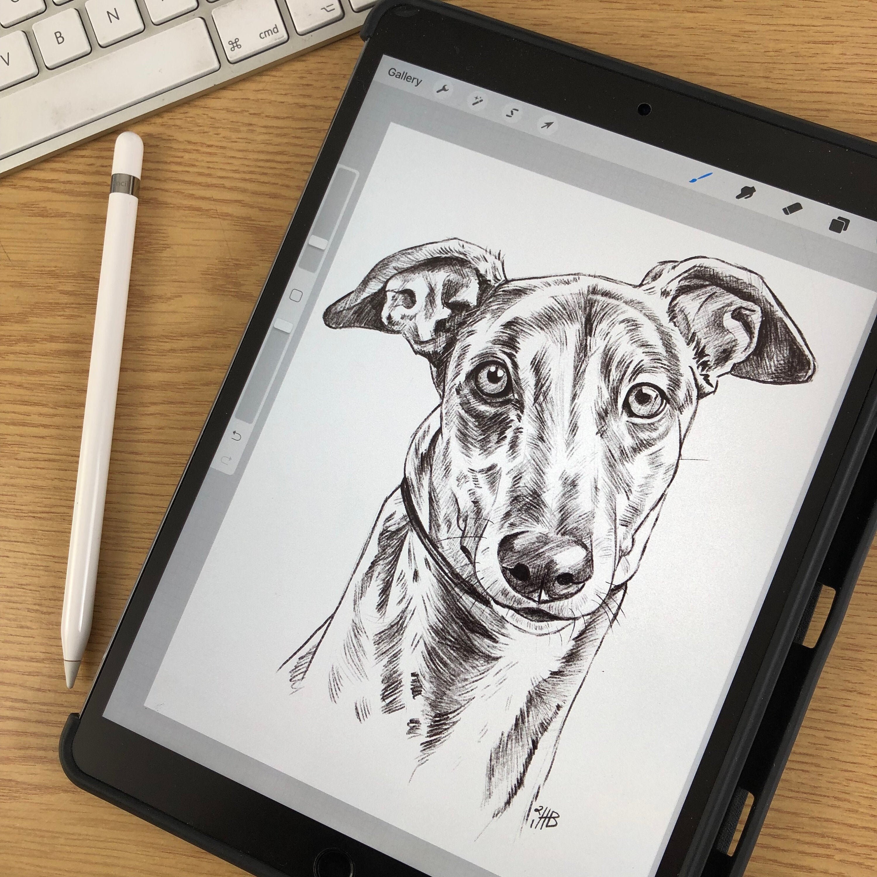 Digital Pet Portrait Sketch Dog Cat Digital Download File Etsy UK