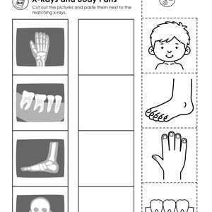 Community Helpers Preschool Theme Curriculum Printables |  Preschool Circle Time Lessons & Activities | Prek, Daycare, Homeschool Currciulum | Community Helper Activities | Worksheets | Preschool Songs | Preschool Activities | Posters | Crafts |