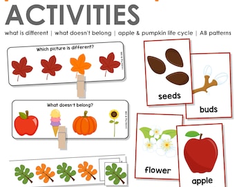 Autumn Patterns, Sorting & Sequencing Activities for Preschool and Kindergarten