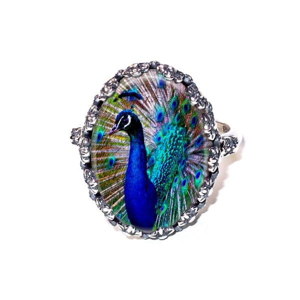 Peacock Ring | Solid 925 Sterling Silver Adjustable 13mm x 18mm Oval Ring | Glass Photo Ring | Statement Ring