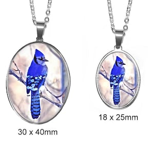 Blue Jay Pendant | Blue Bird Necklace | 30 x 40mm Stainless Steel Glass Photo Necklace | Handmade in the USA