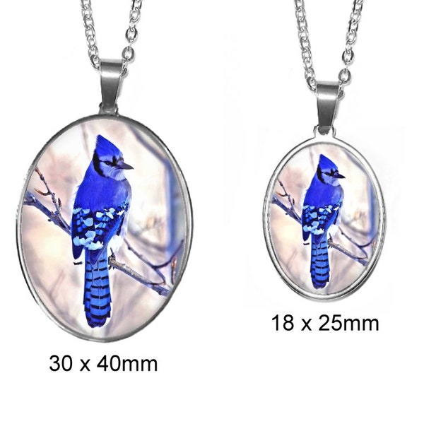 Blue Jay Pendant | Blue Bird Necklace | 30 x 40mm Stainless Steel Glass Photo Necklace | Handmade in the USA