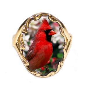 May include: A gold-colored ring with an oval-shaped setting featuring a vibrant red cardinal bird. The bird has a black face and a bright orange beak. The background shows white and red flowers.