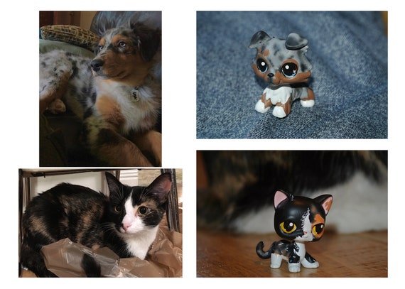 READ DESCRIPTION LPS//Littlest Pet Shop Custom Glass//Resin Eye Commission
