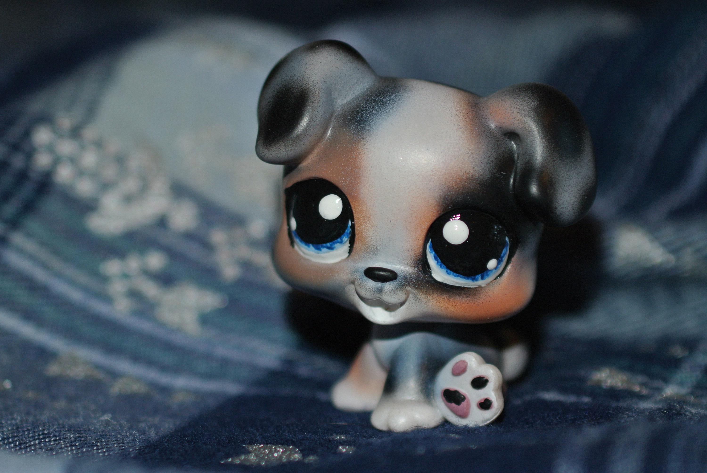 Littlest Pet Shop LPS Custom Australian Shepherd Puppy