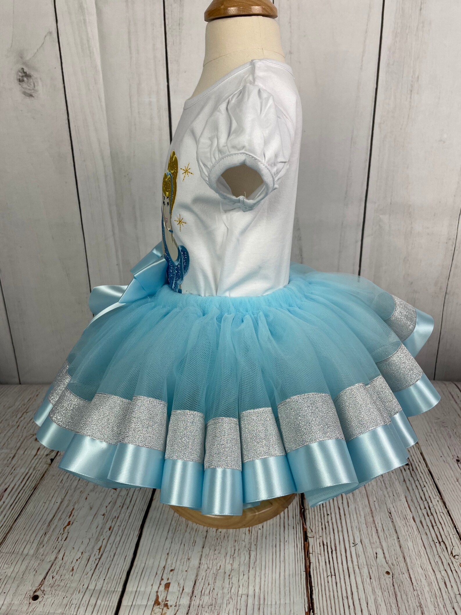 cinderella tutu set
