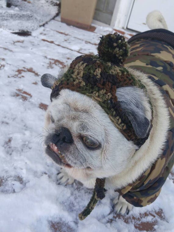 camo dog hat
