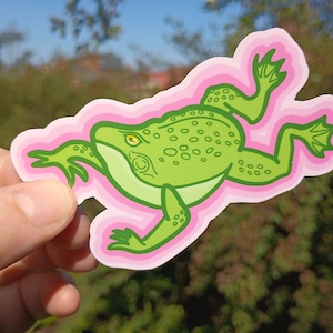 Sticker vinyle grenouille sauteuse vert brillant, grenouille illustrée classique, yeux dorés, sticker amphibiens, sticker amphibiens grenouille, autocollant science amusante