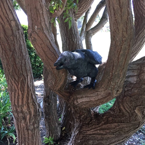 Paper Mache / Paper Clay Life Size Raven shops